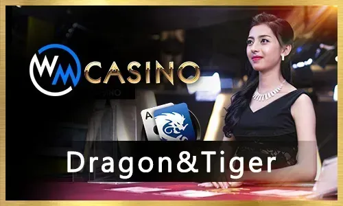 Cockfight betting arena